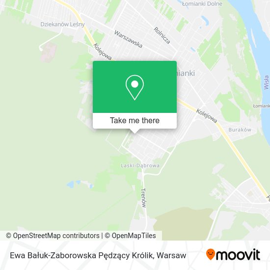 Ewa Bałuk-Zaborowska Pędzący Królik map