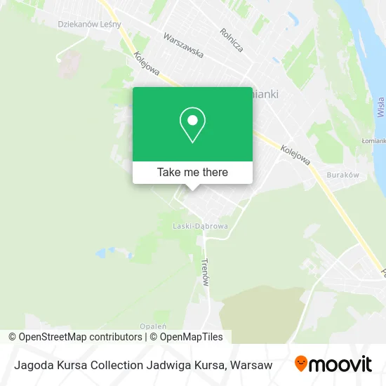 Карта Jagoda Kursa Collection Jadwiga Kursa