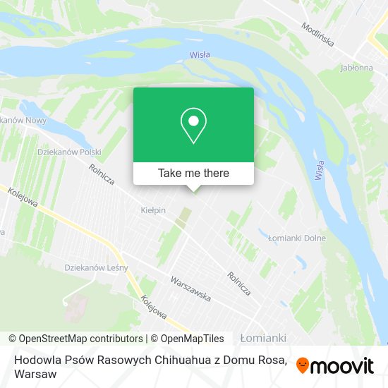 Hodowla Psów Rasowych Chihuahua z Domu Rosa map