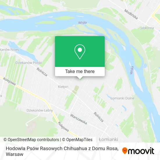Карта Hodowla Psów Rasowych Chihuahua z Domu Rosa
