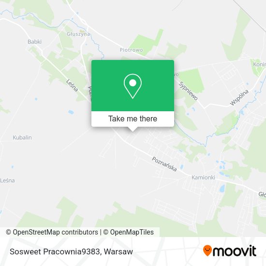 Sosweet Pracownia9383 map