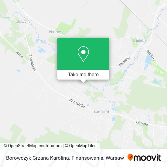 Borowczyk-Grzana Karolina. Finansowanie map