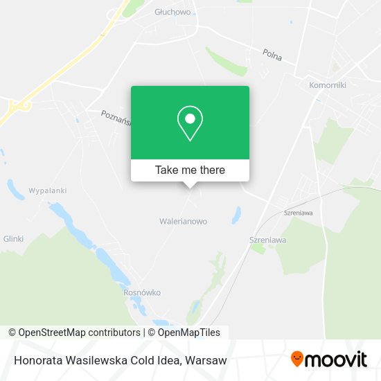 Honorata Wasilewska Cold Idea map