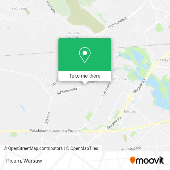 Карта Picam