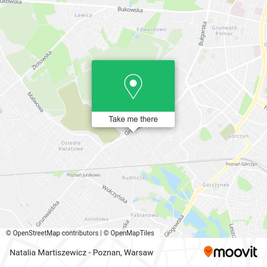 Natalia Martiszewicz - Poznan map