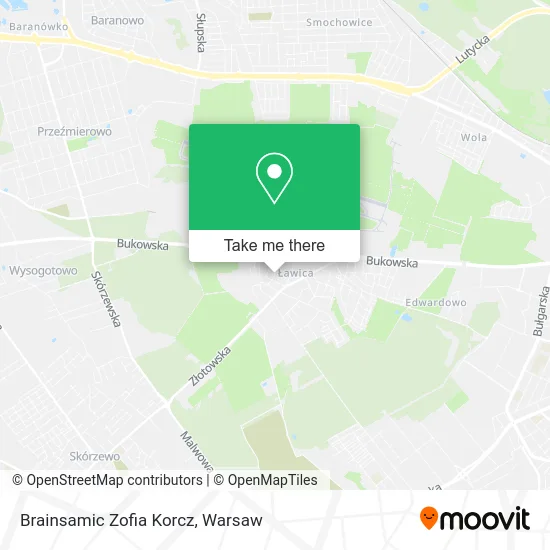 Карта Brainsamic Zofia Korcz