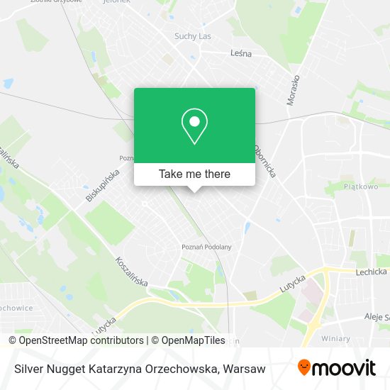 Silver Nugget Katarzyna Orzechowska map