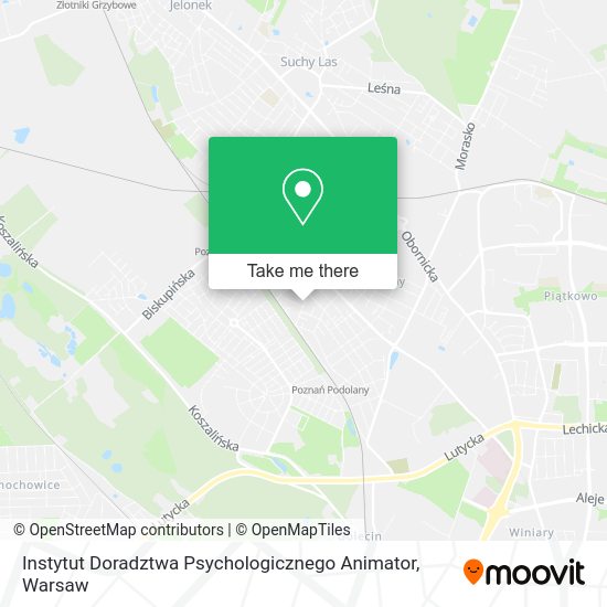 Instytut Doradztwa Psychologicznego Animator map