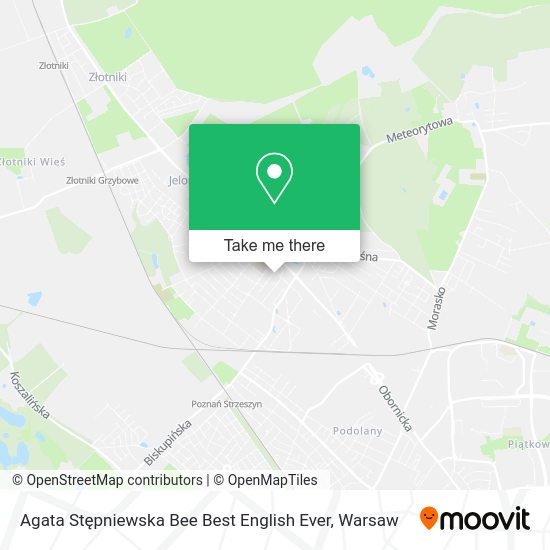 Agata Stępniewska Bee Best English Ever map