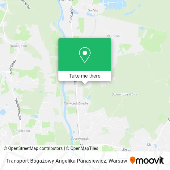 Карта Transport Bagażowy Angelika Panasiewicz