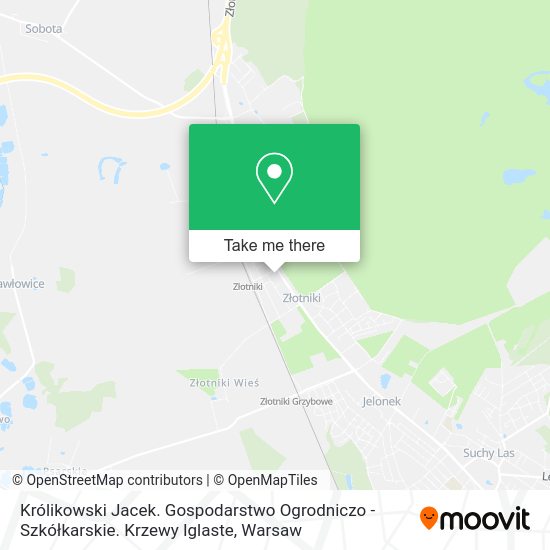 Królikowski Jacek. Gospodarstwo Ogrodniczo - Szkółkarskie. Krzewy Iglaste map