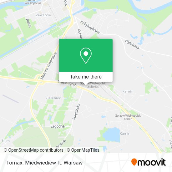 Tomax. Miedwiediew T. map