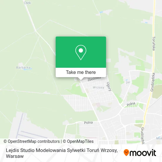 Карта Lejdis Studio Modelowania Sylwetki Toruń Wrzosy