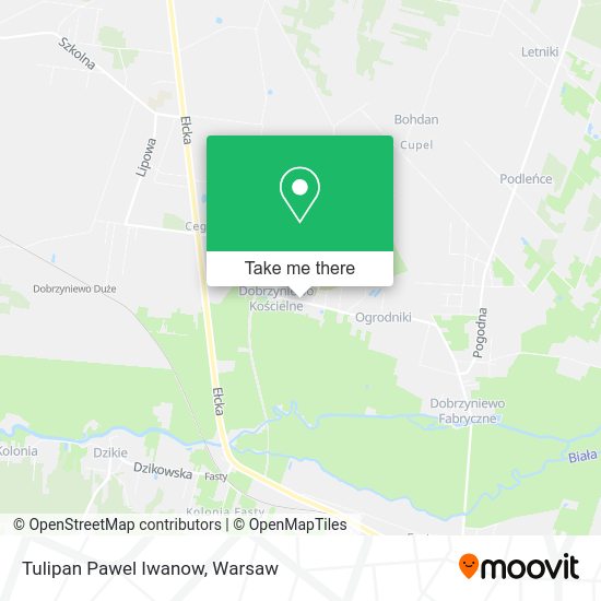 Tulipan Pawel Iwanow map