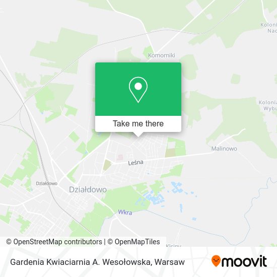 Gardenia Kwiaciarnia A. Wesołowska map