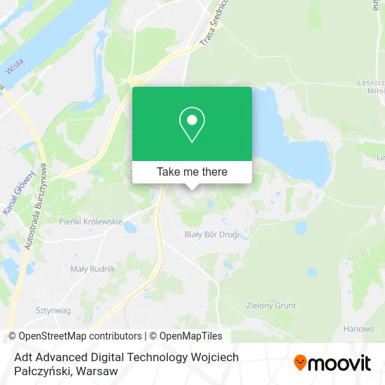 Карта Adt Advanced Digital Technology Wojciech Pałczyński