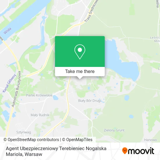 Карта Agent Ubezpieczeniowy Terebieniec Nogalska Mariola