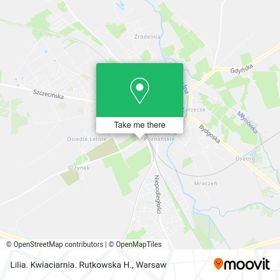 Lilia. Kwiaciarnia. Rutkowska H. map