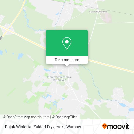 Pająk Wioletta. Zakład Fryzjerski map