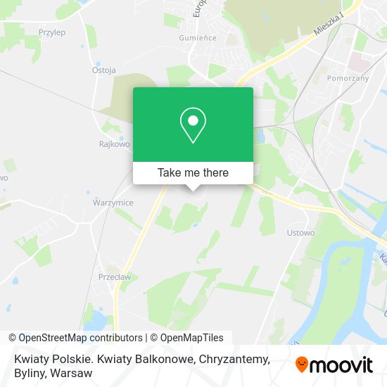 Kwiaty Polskie. Kwiaty Balkonowe, Chryzantemy, Byliny map