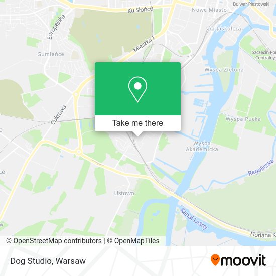 Dog Studio map