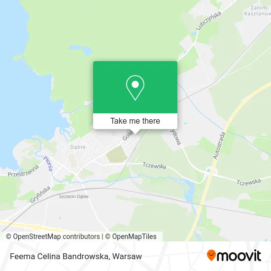 Карта Feema Celina Bandrowska