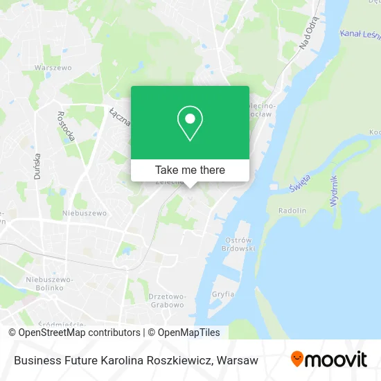 Карта Business Future Karolina Roszkiewicz