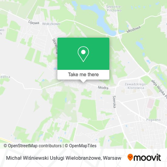 Michał Wiśniewski Usługi Wielobranżowe map