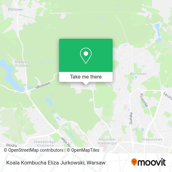 Koala Kombucha Eliza Jurkowski map