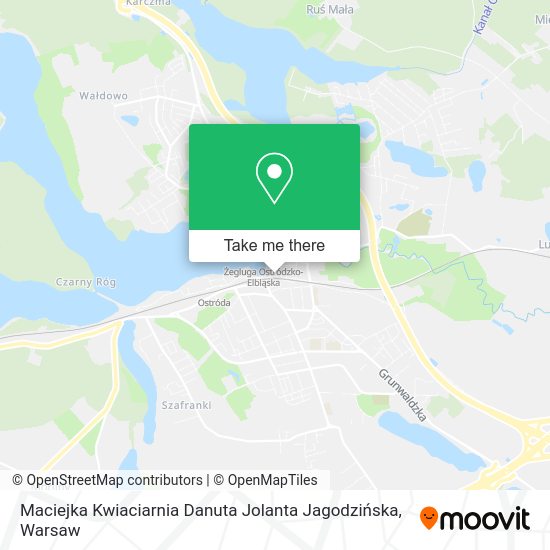 Maciejka Kwiaciarnia Danuta Jolanta Jagodzińska map