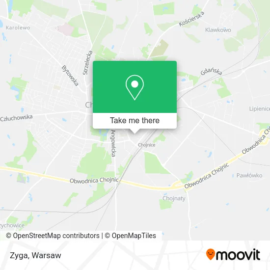 Карта Zyga