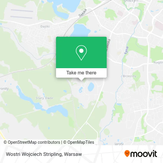 Карта Wostri Wojciech Stripling