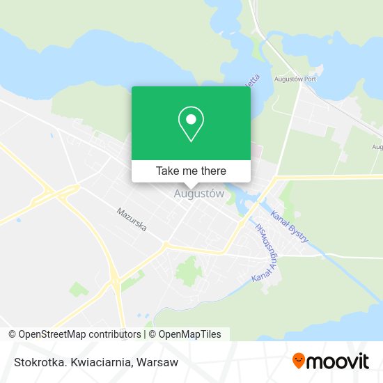 Stokrotka. Kwiaciarnia map