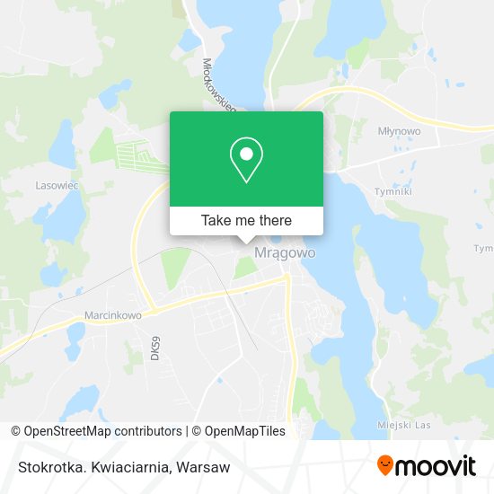 Stokrotka. Kwiaciarnia map