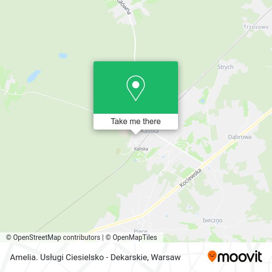 Amelia. Usługi Ciesielsko - Dekarskie map