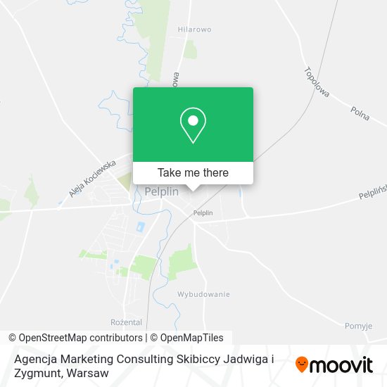 Agencja Marketing Consulting Skibiccy Jadwiga i Zygmunt map