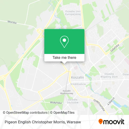 Карта Pigeon English Christopher Morris