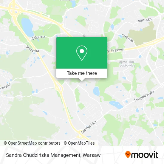 Sandra Chudzińska Management map