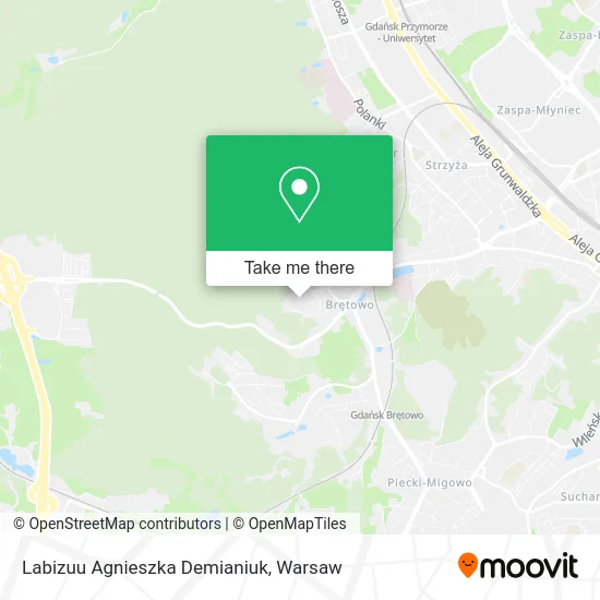 Labizuu Agnieszka Demianiuk map