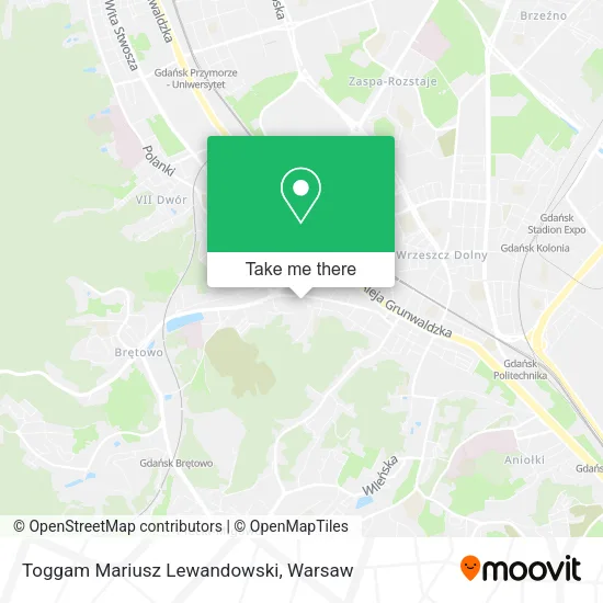 Карта Toggam Mariusz Lewandowski