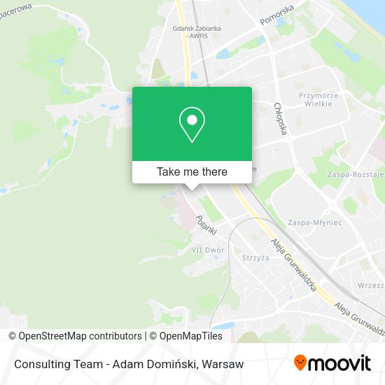 Consulting Team - Adam Domiński map