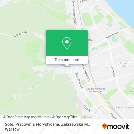 Карта Sote. Pracownia Florystyczna. Zakrzewska M.