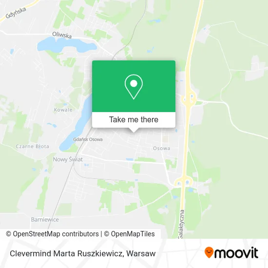 Карта Clevermind Marta Ruszkiewicz