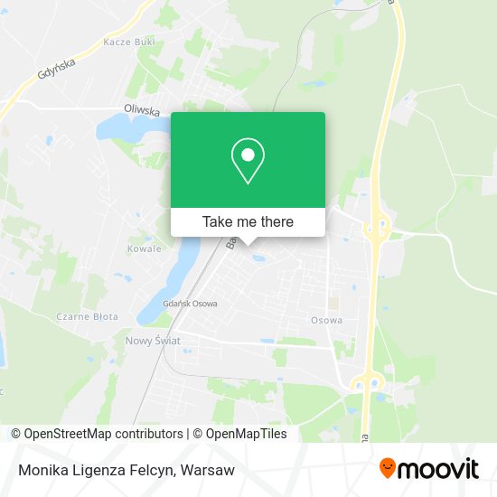 Monika Ligenza Felcyn map