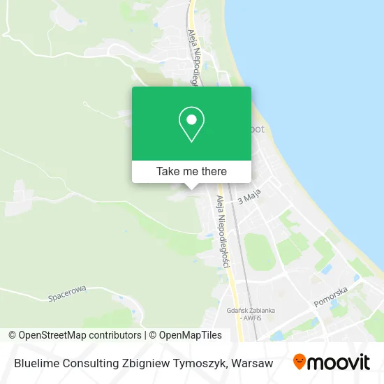 Карта Bluelime Consulting Zbigniew Tymoszyk