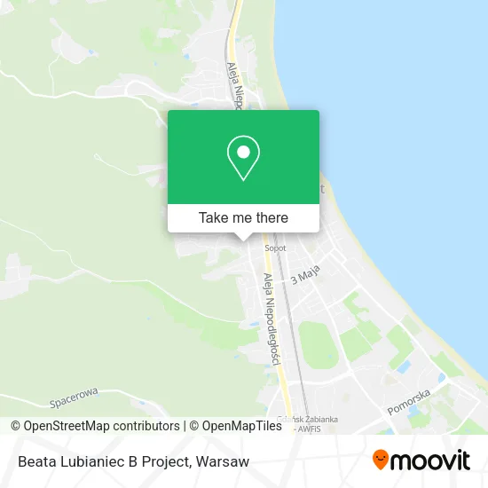 Карта Beata Lubianiec B Project