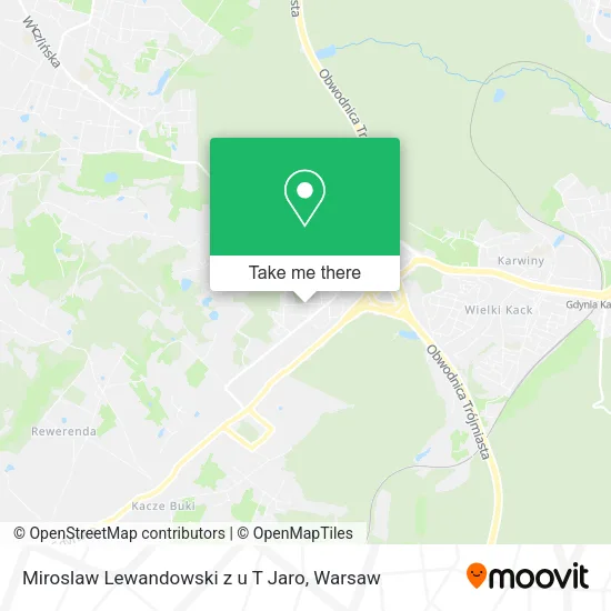 Карта Miroslaw Lewandowski z u T Jaro