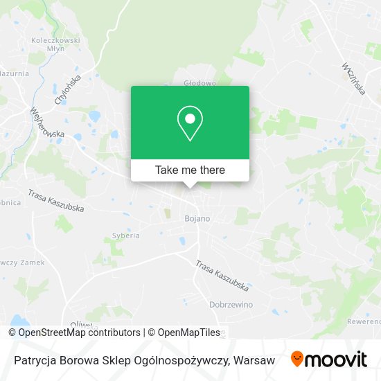 Patrycja Borowa Sklep Ogólnospożywczy map