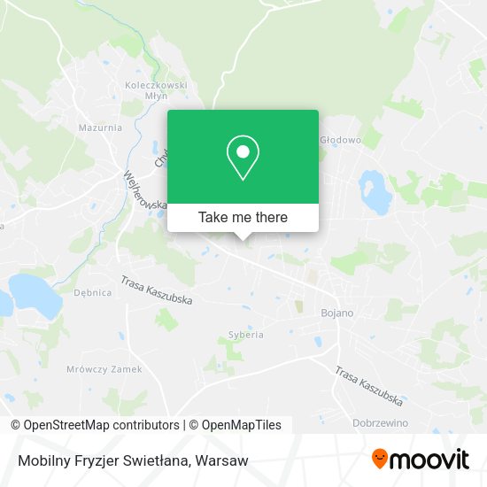 Карта Mobilny Fryzjer Swietłana