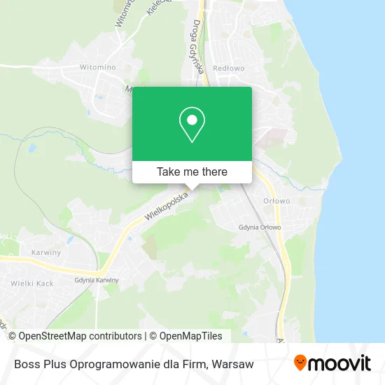 Карта Boss Plus Oprogramowanie dla Firm